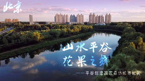 北京森林城市创建申报宣传片_金沙娱场城官网下载澳门